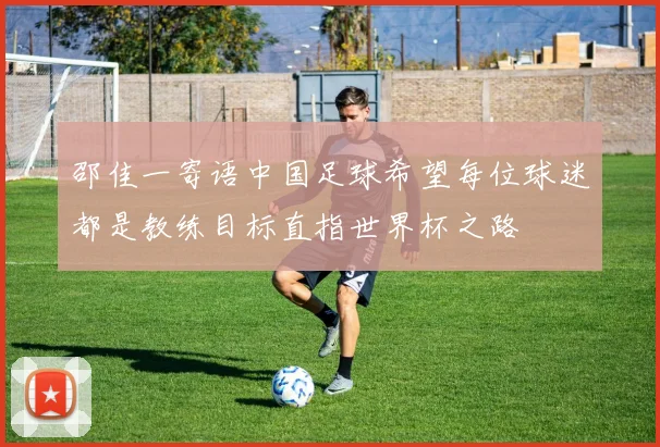 邵佳一寄语中国足球希望每位球迷都是教练目标直指世界杯之路