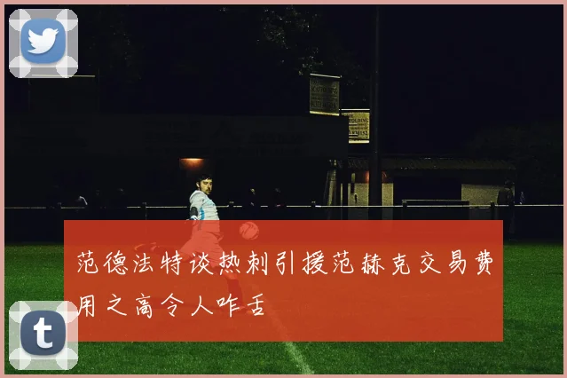 范德法特谈热刺引援范赫克交易费用之高令人咋舌